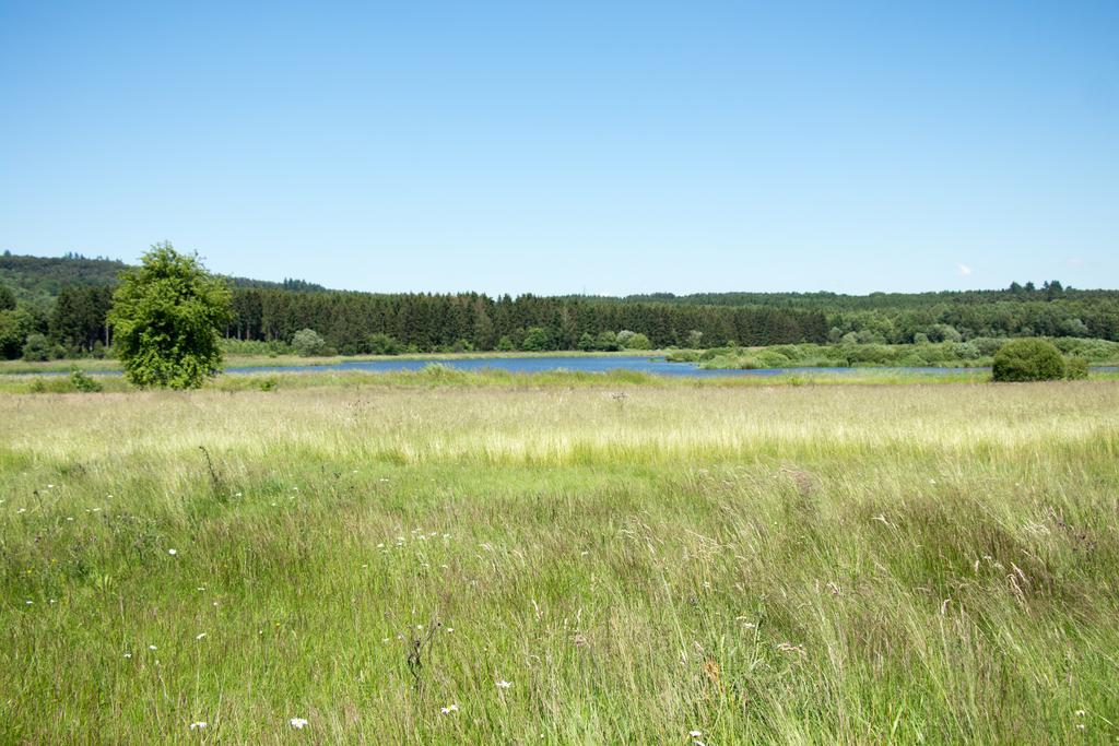 Hotel Campingplatz Jungferweiher Ulmen Exterior foto